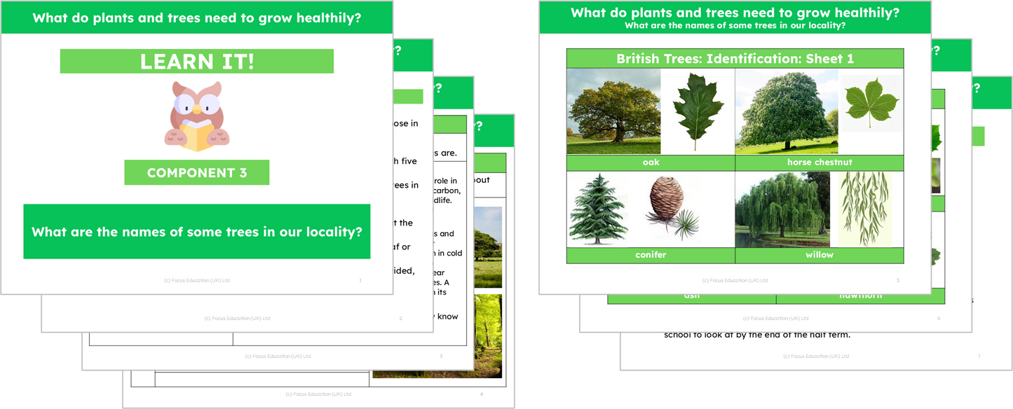 Science Y2: What do plants and trees need to grow healthily?