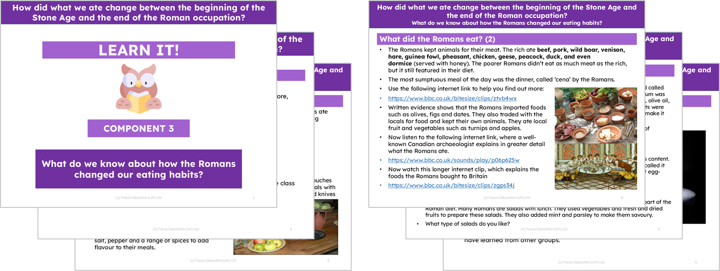 History Y3: How did what we ate change between the beginning of the Stone Age and the end of the Roman occupation?