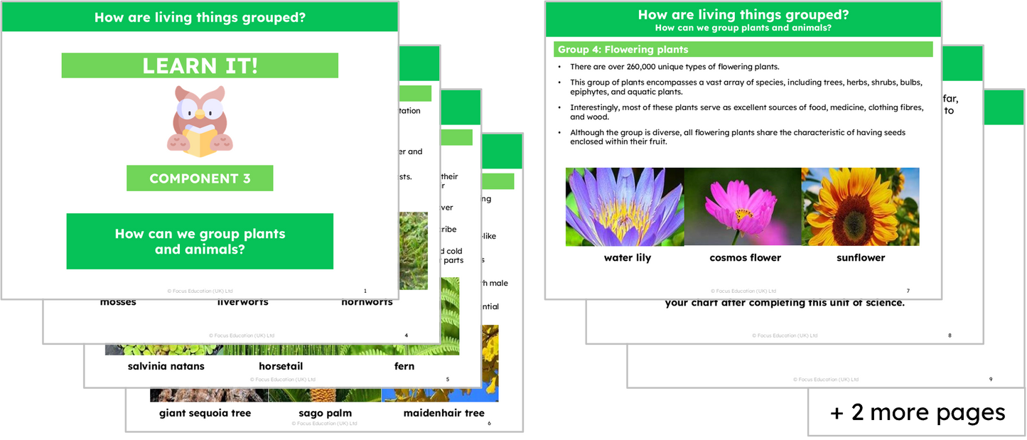 Science Y4: How are living things grouped?