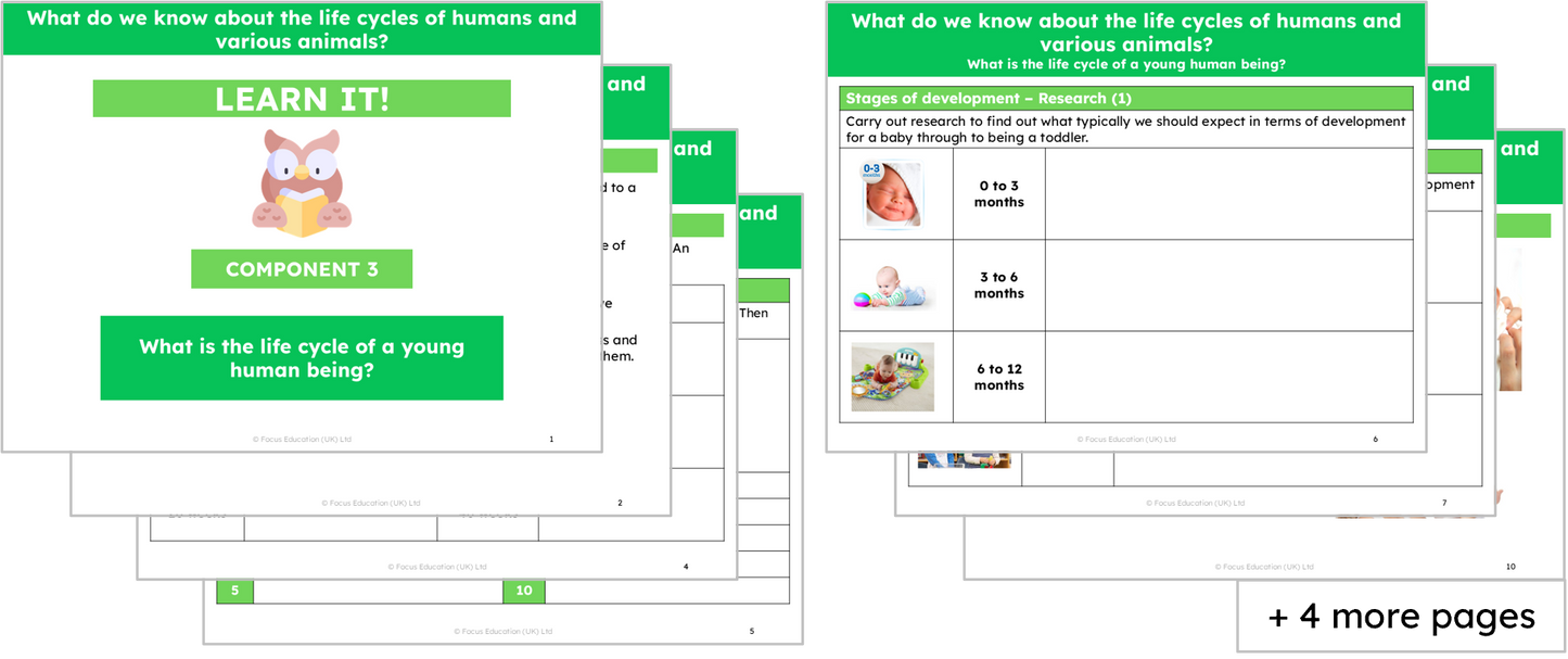 Science Y5: What do we know about the life cycles of humans and various animals?