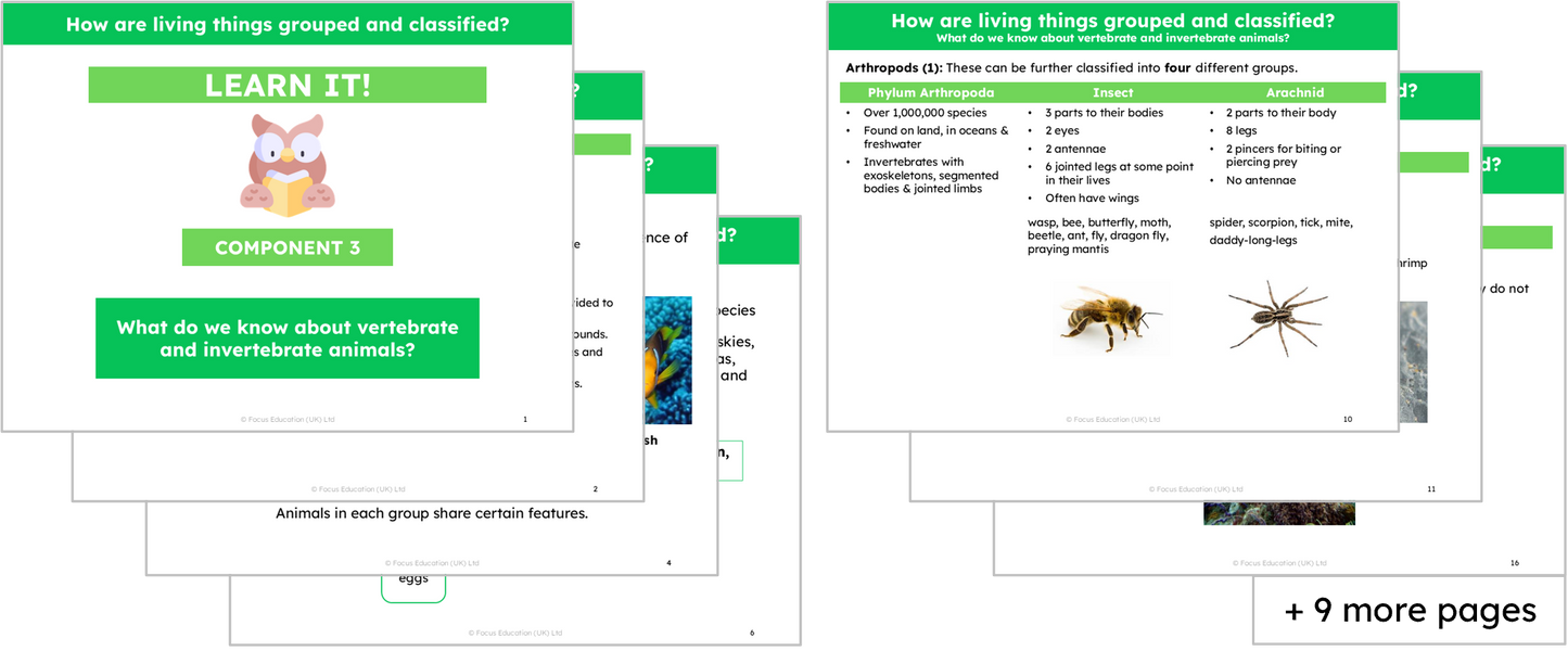Science Y6: How are living things grouped and classified?