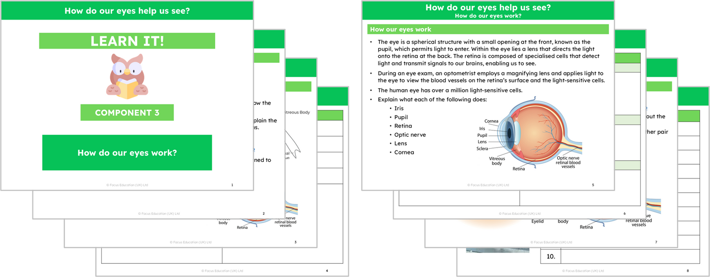 Science Y6: How do our eyes help us see?