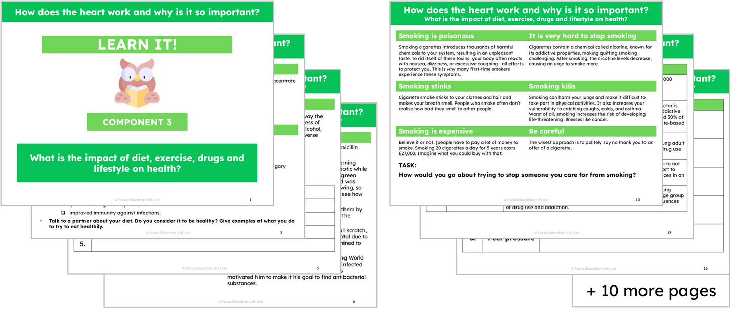 Science Y6: How does the heart work and why is it so important?