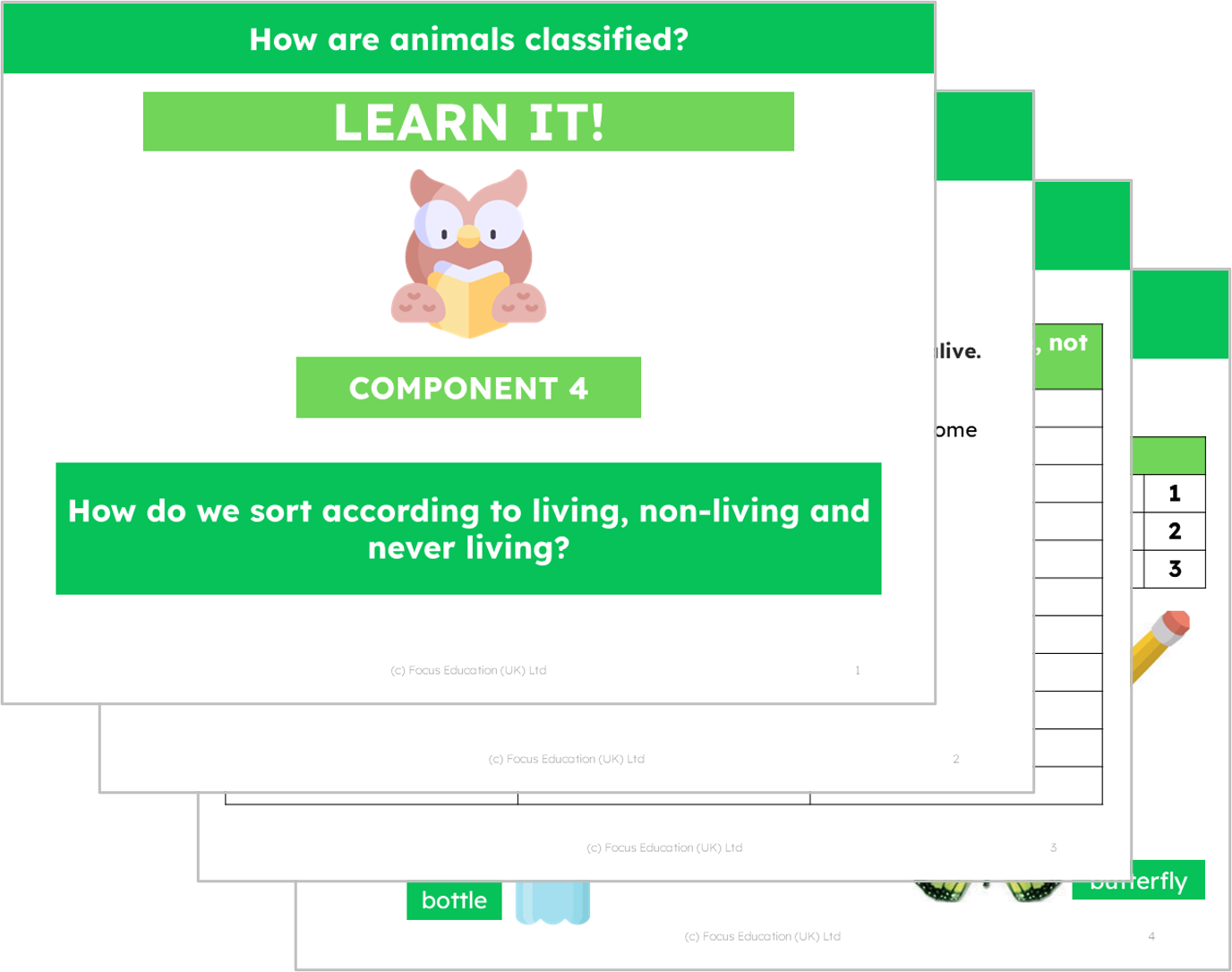 Science Y1: How are Animals Classified?