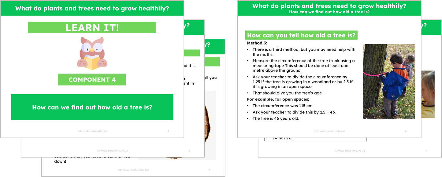 Science Y2: What do plants and trees need to grow healthily?