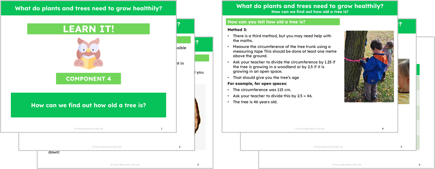 Science Y2: What do plants and trees need to grow healthily?