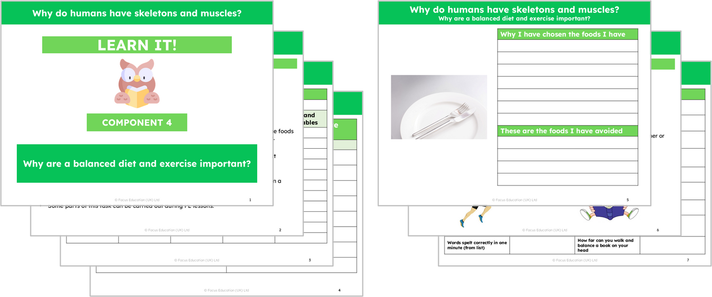 Science Y3: Why do humans have skeletons and muscles?