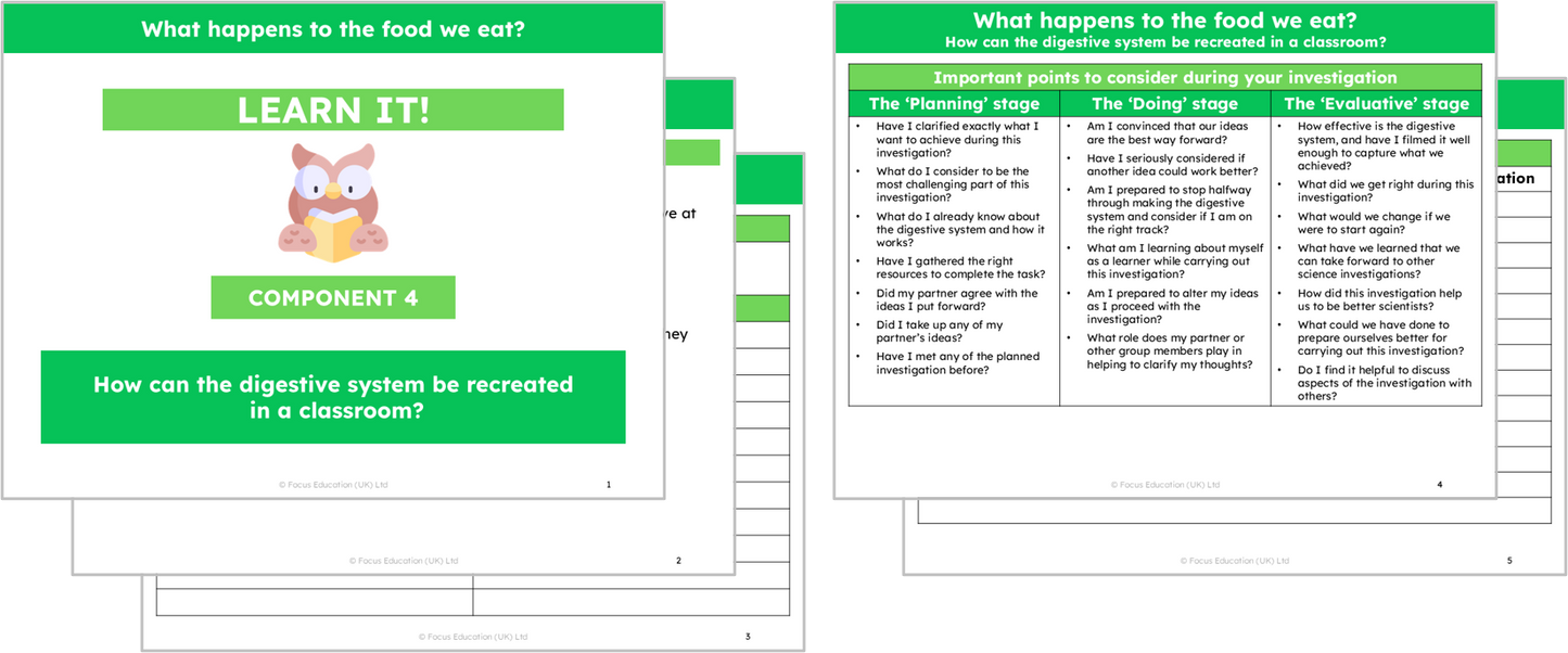 Science Y4: What happens to the food we eat?