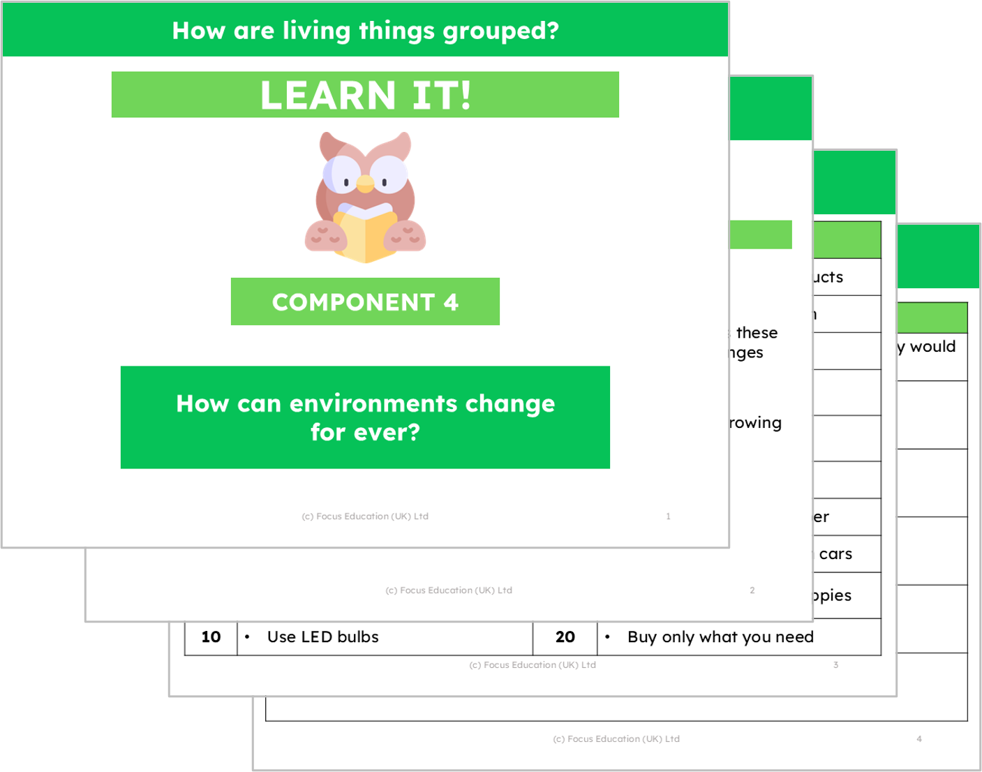 Science Y4: How are living things grouped?