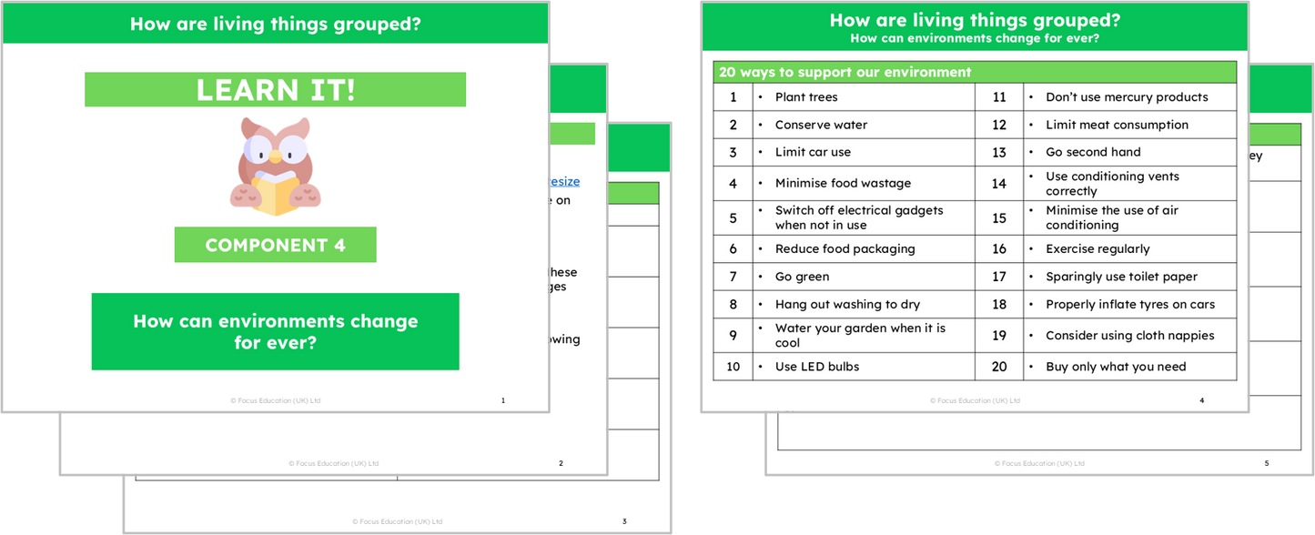 Science Y4: How are living things grouped?