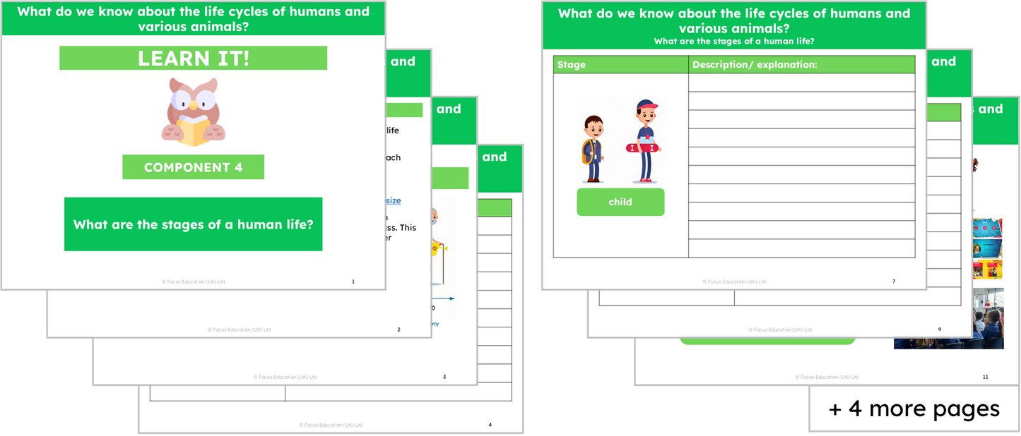 Science Y5: What do we know about the life cycles of humans and various animals?
