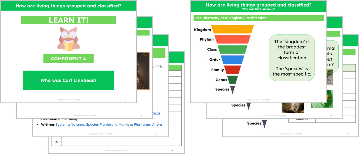 Science Y6: How are living things grouped and classified?
