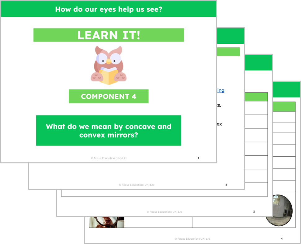 Science Y6: How do our eyes help us see?