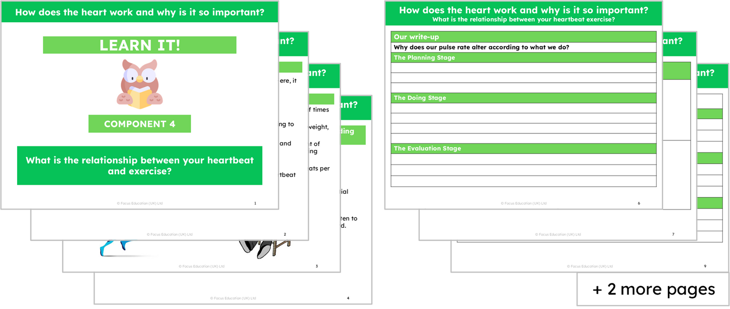 Science Y6: How does the heart work and why is it so important?