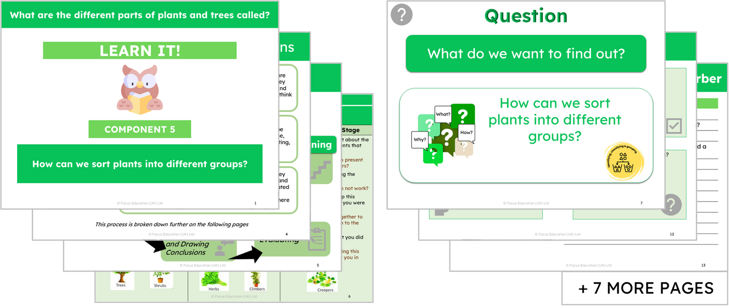 Science Y1: What are the names of the different parts of plants?