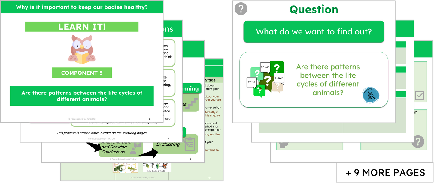 Science Y2: Why is it important to keep our bodies healthy?