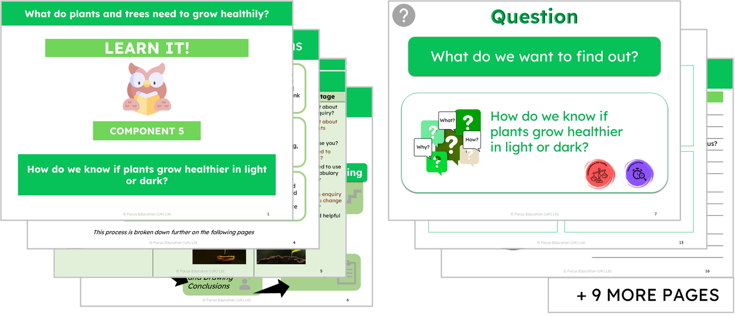 Science Y2: What do plants and trees need to grow healthily?