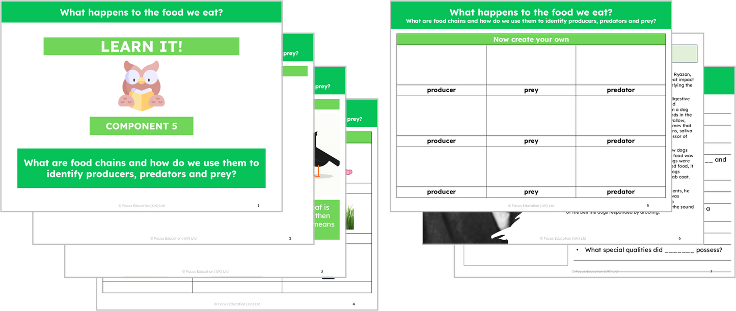 Science Y4: What happens to the food we eat?