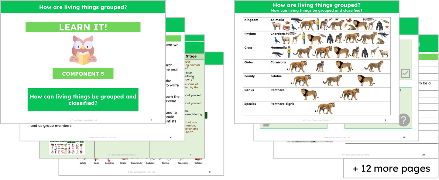 Science Y4: How are living things grouped?