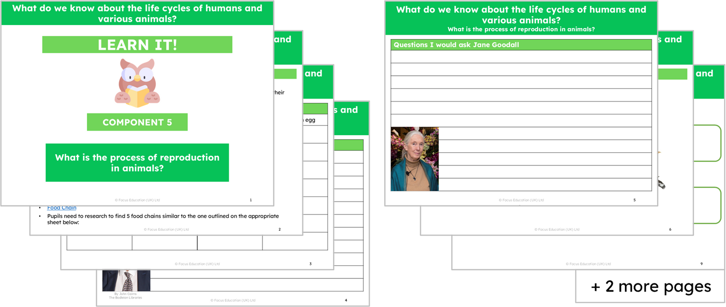 Science Y5: What do we know about the life cycles of humans and various animals?