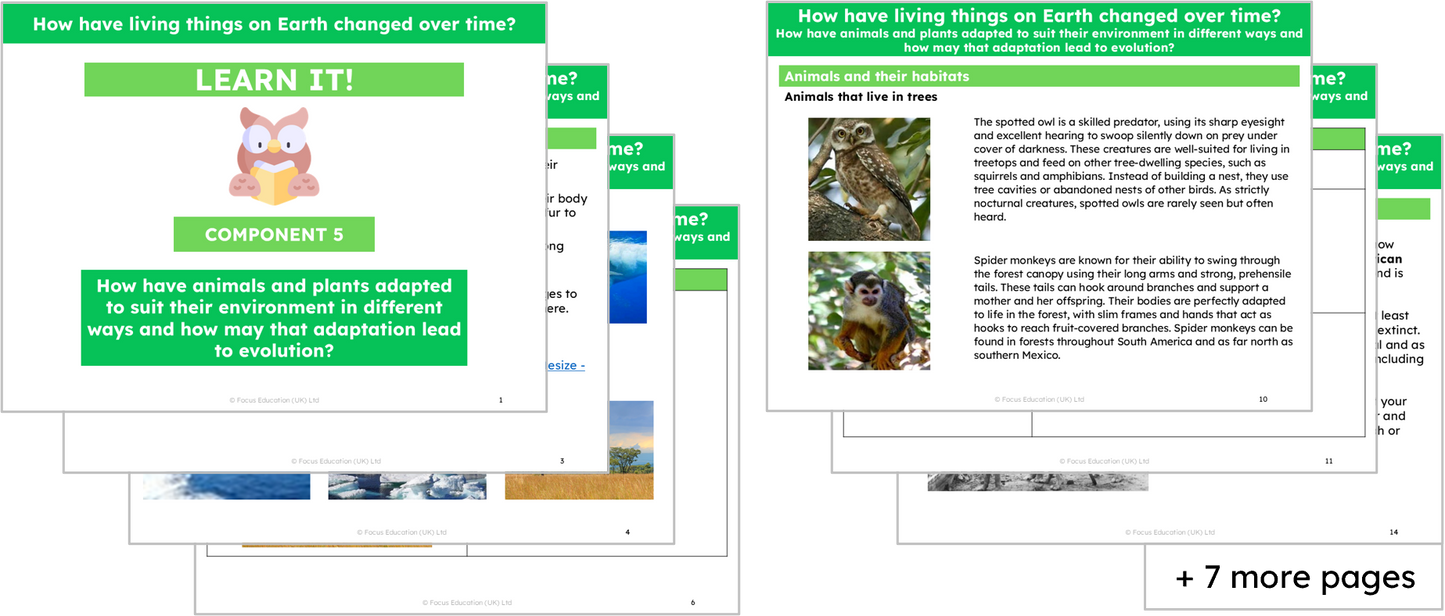 Science Y6: How have living things on Earth changed over time?