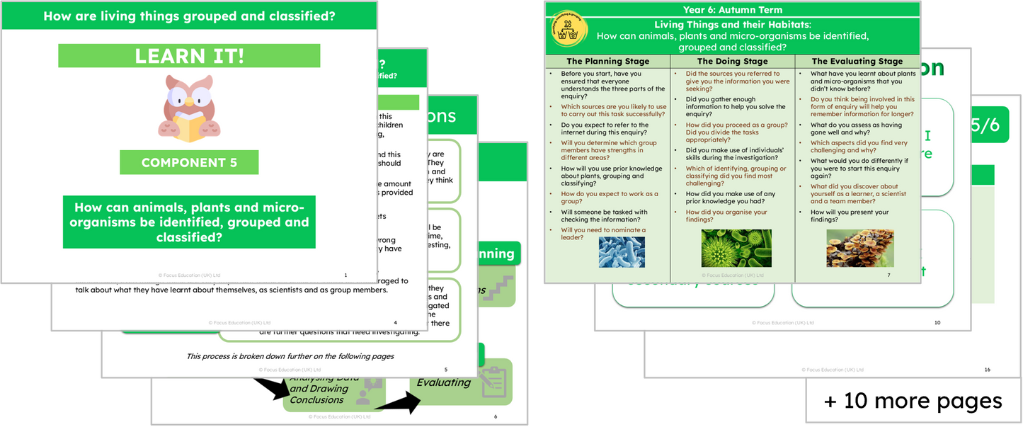 Science Y6: How are living things grouped and classified?