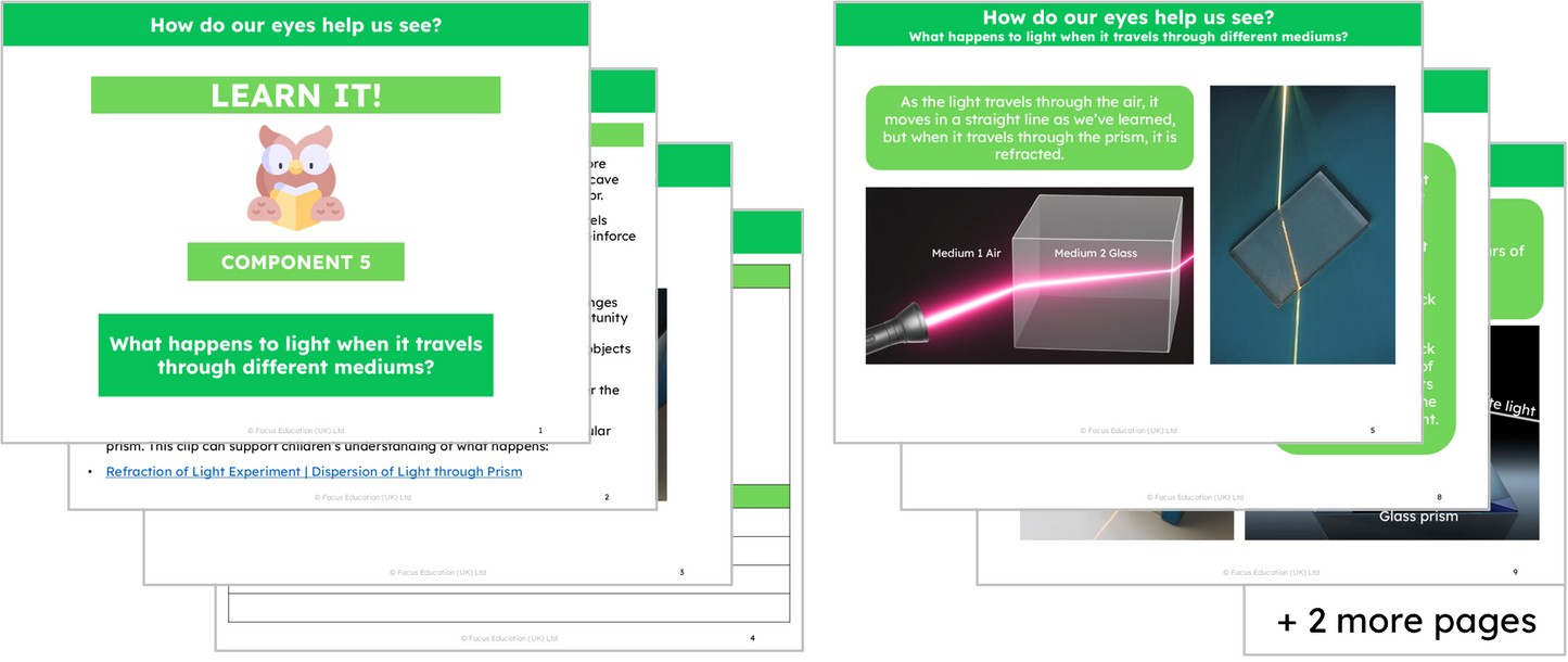 Science Y6: How do our eyes help us see?