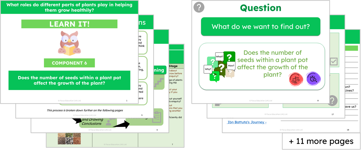 Science Y3: What roles do different parts of plants play in helping them grow healthily?