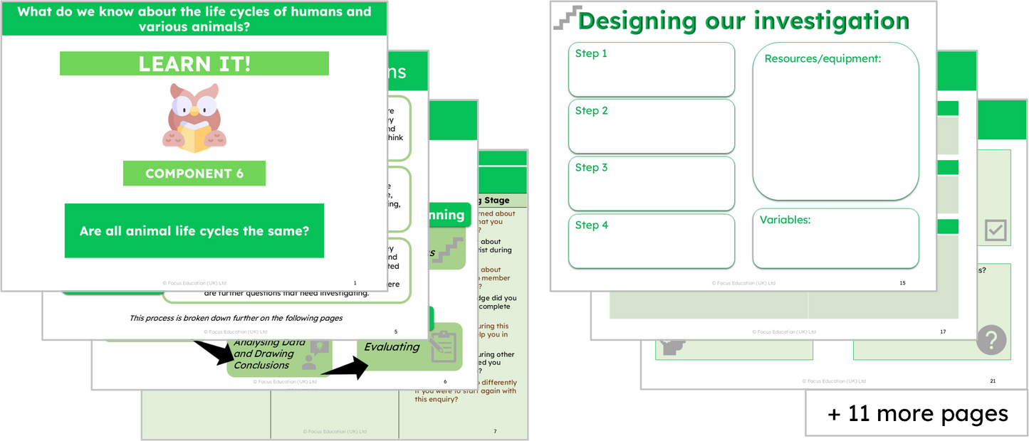 Science Y5: What do we know about the life cycles of humans and various animals?