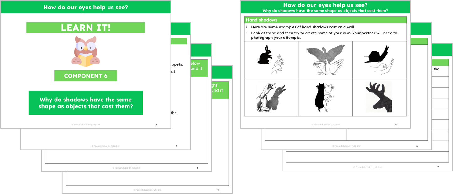 Science Y6: How do our eyes help us see?