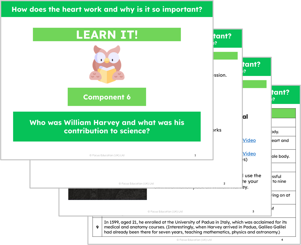 Science Y6: How does the heart work and why is it so important?