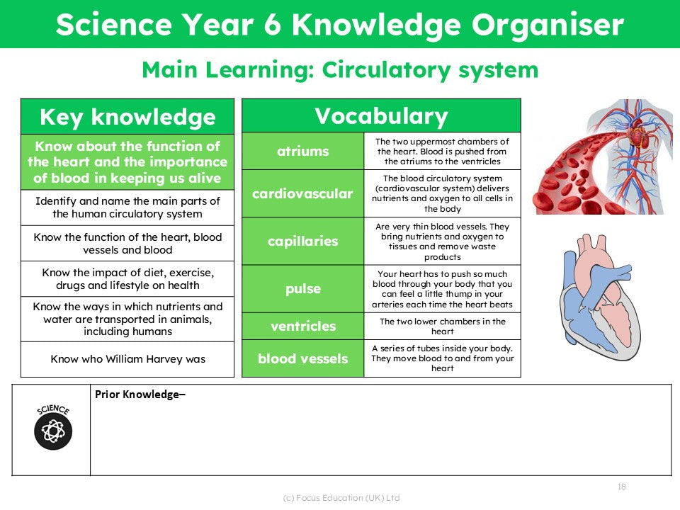 Science Knowledge Organisers – Focus Education