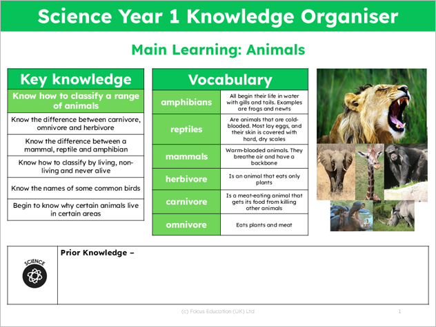 Science Y1: How are Animals Classified?