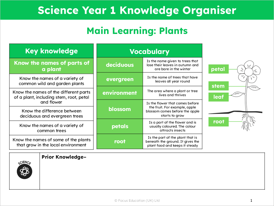 Science Y1: What are the names of the different parts of plants?