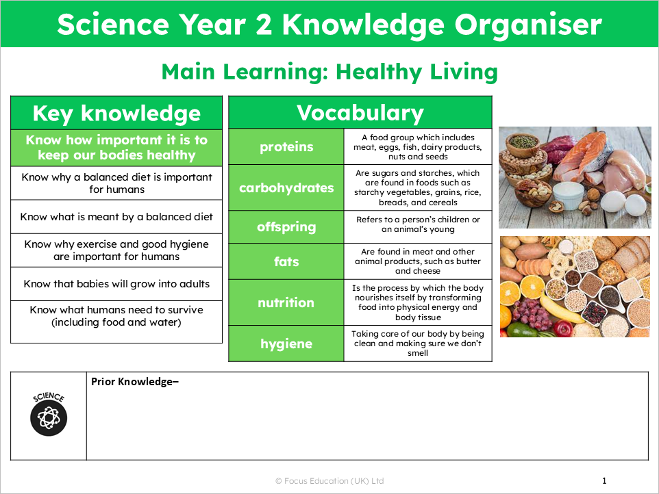 Science Y2: Why is it important to keep our bodies healthy?