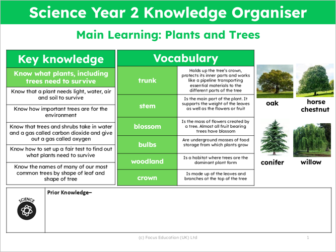 Science Y2: What do plants and trees need to grow healthily?