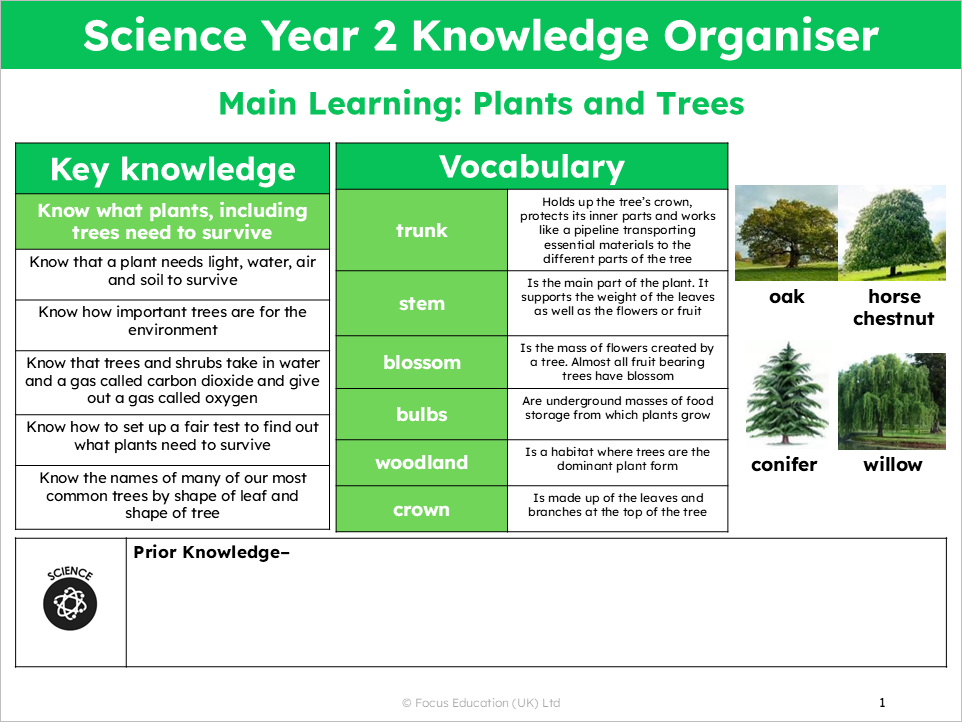 Science Y2: What do plants and trees need to grow healthily?