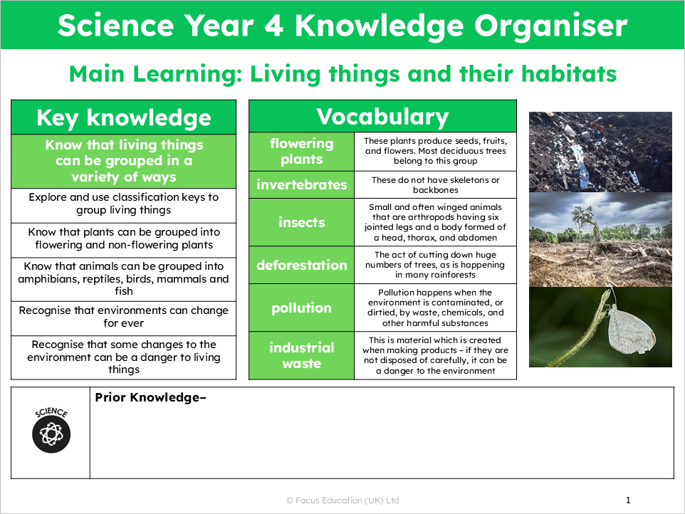 Science Y4: How are living things grouped?