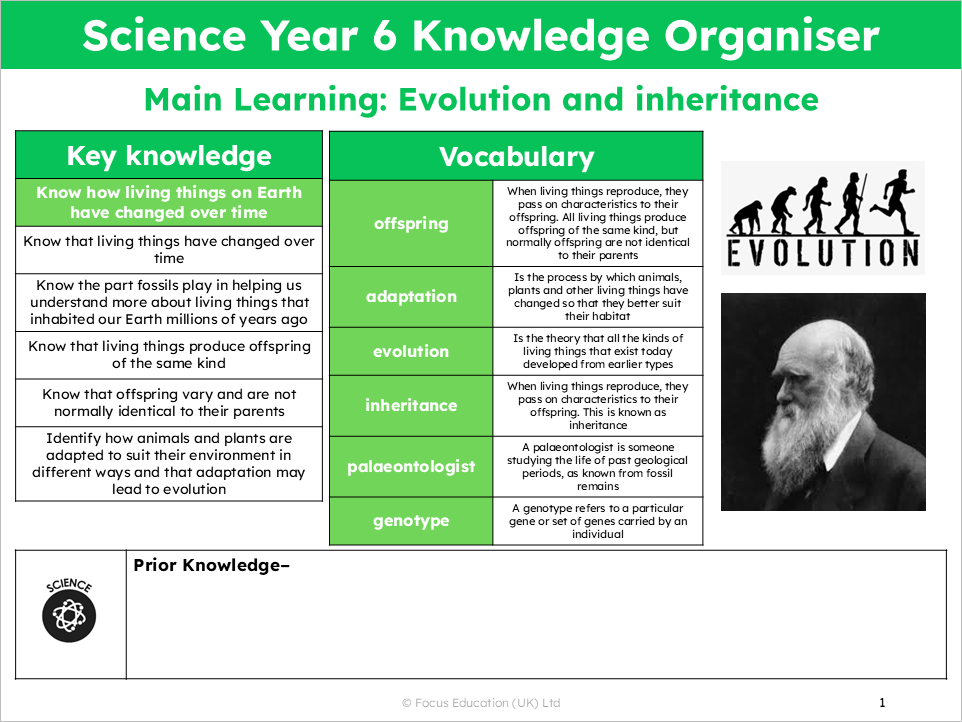 Science Y6: How have living things on Earth changed over time?