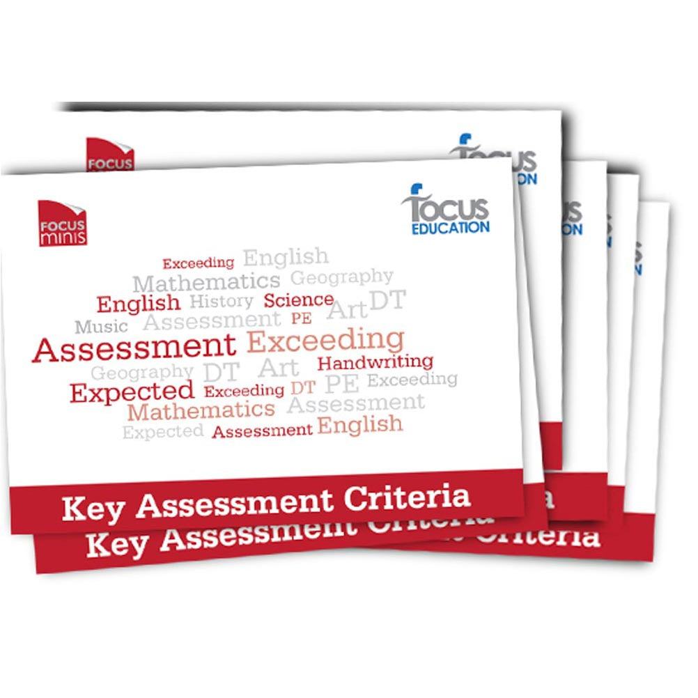 Sample Key Assessment Key Assessment Criteria (Focus Mini) – Focus Education