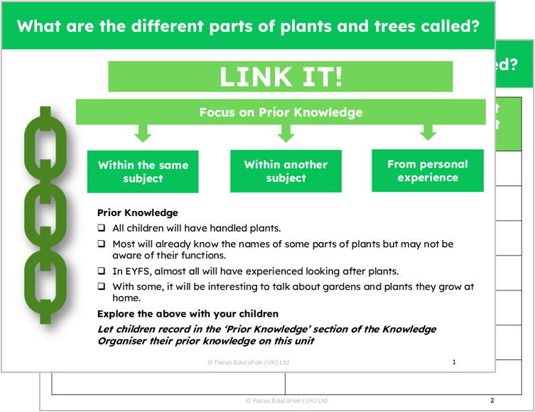 Science Y1: What are the names of the different parts of plants?