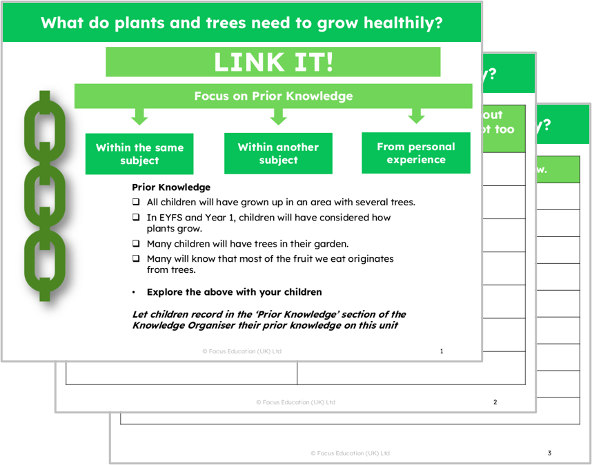Science Y2: What do plants and trees need to grow healthily?