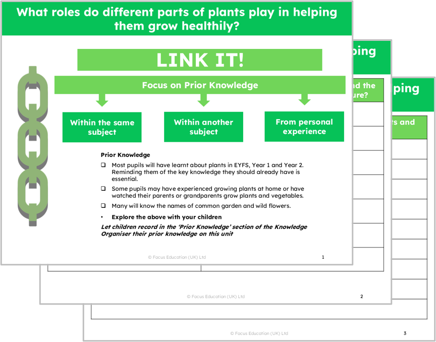 Science Y3: What roles do different parts of plants play in helping them grow healthily?