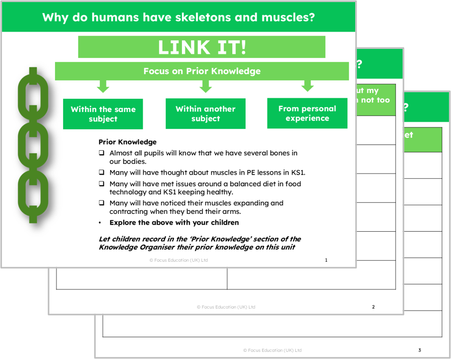 Science Y3: Why do humans have skeletons and muscles?