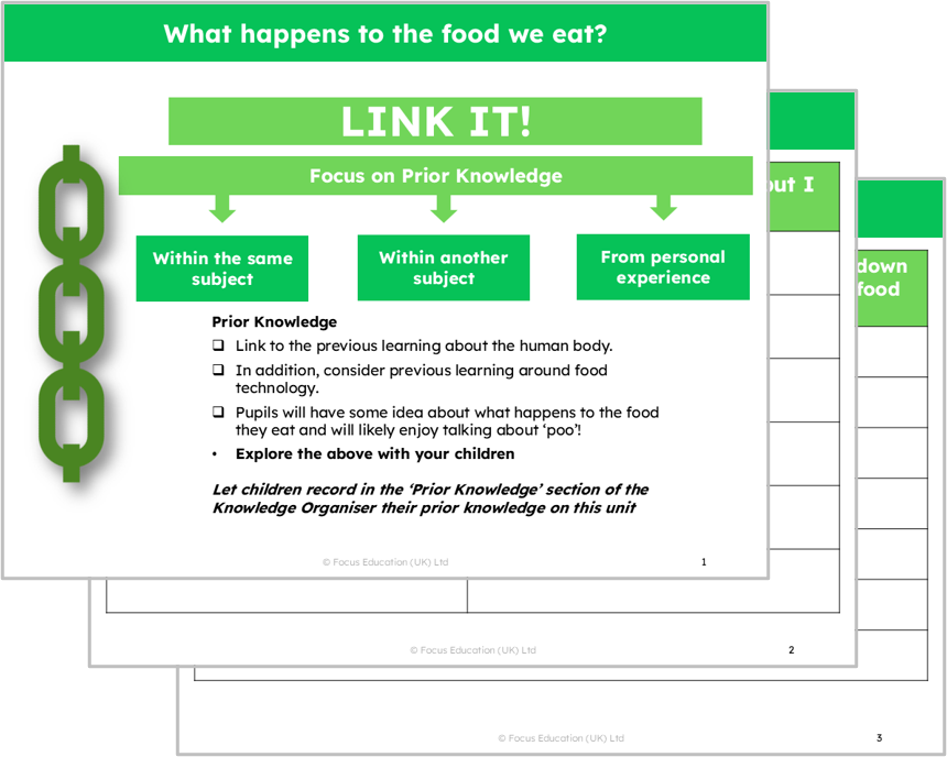Science Y4: What happens to the food we eat?