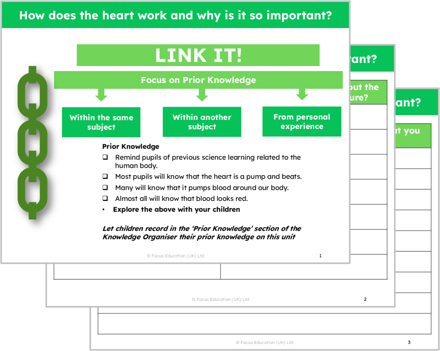 Science Y6: How does the heart work and why is it so important?