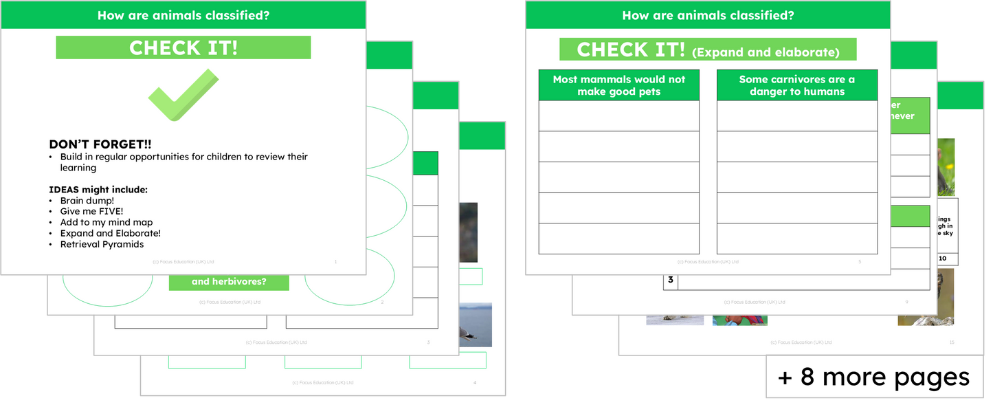 Science Y1: How are Animals Classified?