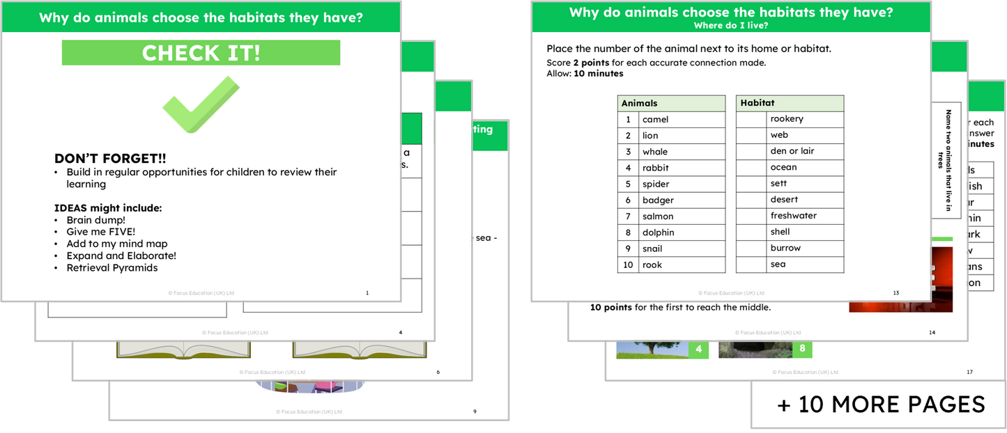 Science Y2: Why do animals choose the habitat they have?