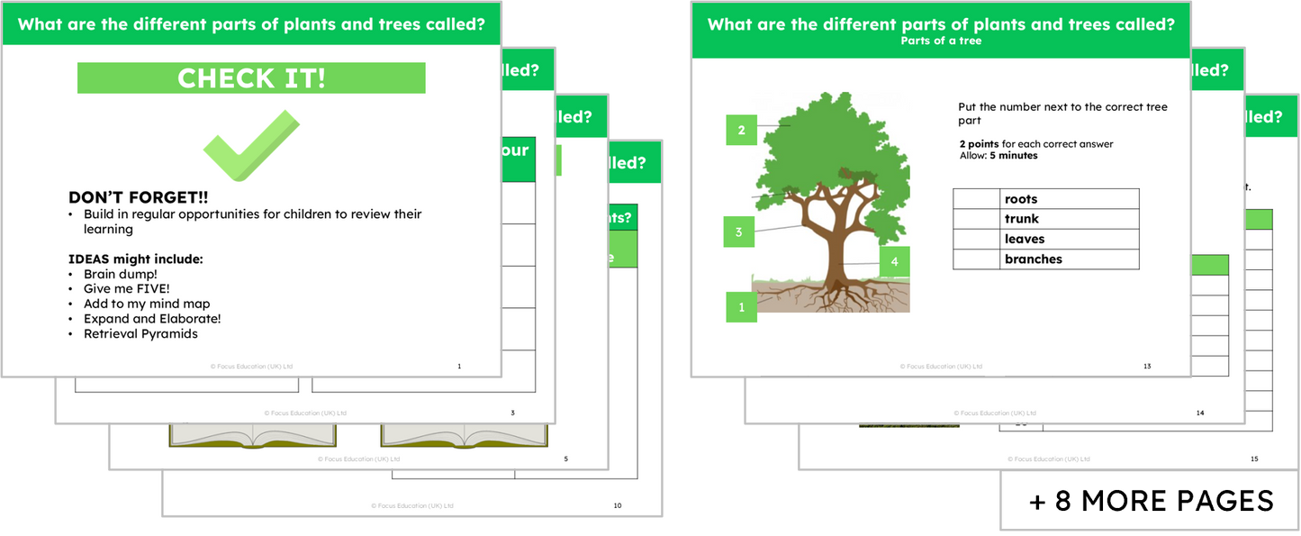 Science Y1: What are the names of the different parts of plants?