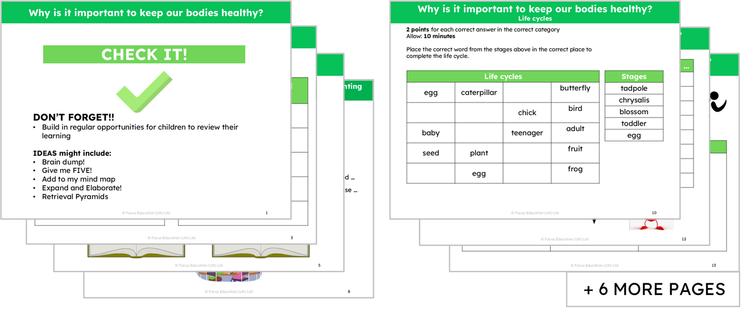 Science Y2: Why is it important to keep our bodies healthy?